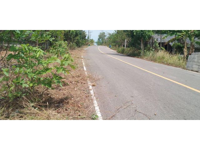 ขายที่ดิน 11 ไร่ ใกล้ทะเล ต.คลองเคียน อ.ตะกั่วทุ่ง จ.พังงา