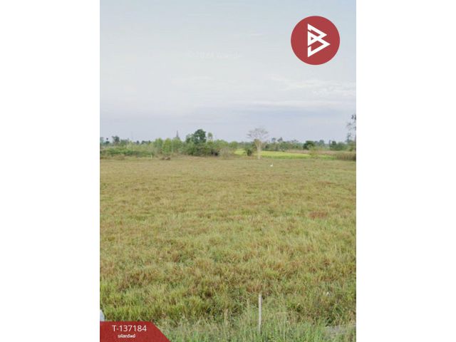ขายด่วนที่ดิน เนื้อที่ 2 ไร่ ปากท่อ ราชบุรี