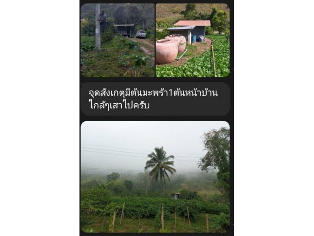 ด่วนที่สุด ขายที่ดินวิวฟองเพชรเขาค้อ จำนวน 8 ไร่ 3 งาน
