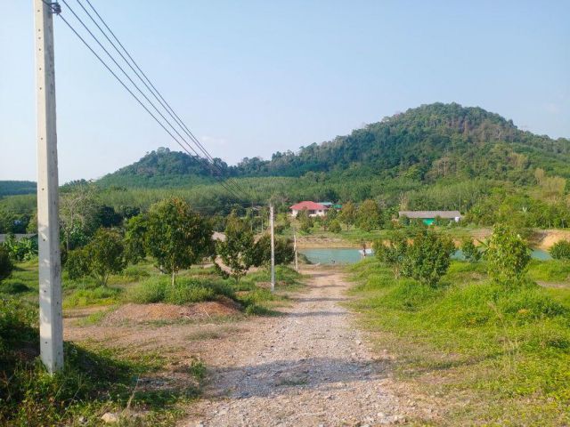 !!!ที่ดินแปลงสวย ราคาดีๆๆๆ!!! เสนอขายที่ดินสวนทุเรียนเต็มแปลงพร้อมบ้าน ติดถนนคอนกรีต เนื้อที่เกือบ 28 ไร่ ตำบลเขาแก้ว อำ
