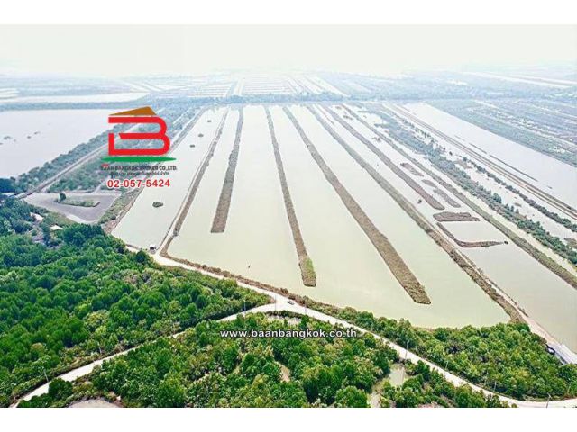 ที่ดินพร้อมบ้าน เนื้อที่ 106-3-80 ไร่ (ใกล้วัดเขาตะเครา,ใกล้ครัวครูจันทร์) ถนนธนบุรี-ปากท่อ อำเภอบ้านแหลม เพชรบุรี