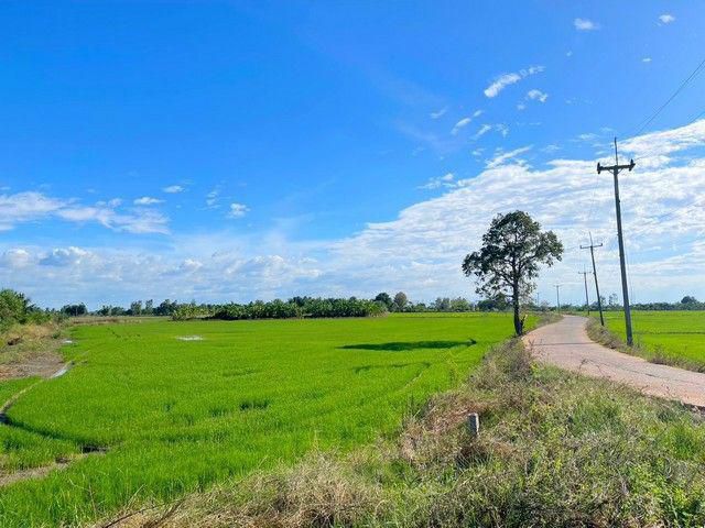 ขายที่ดินดงน้อย 7 ไร่ เป็นที่นาติดถนนคอนกรีต ใกล้ถนนเส้น3076-5.2กม. อ.ราชสาสน์ ฉะเชิงเทรา