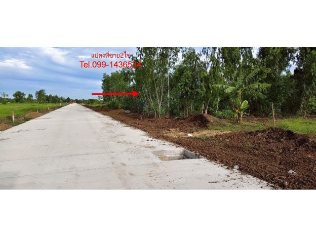 ขายที่ดิน ซอยคลองสี่ 19/1 เนื้อที่ 2 ไร่ ถมแล้ว ขาย 6ล้าน  ถนนเลียบคลองสี่ ฝั่งตะวันตก ใกล้ถนนกาญจนาภิเษก