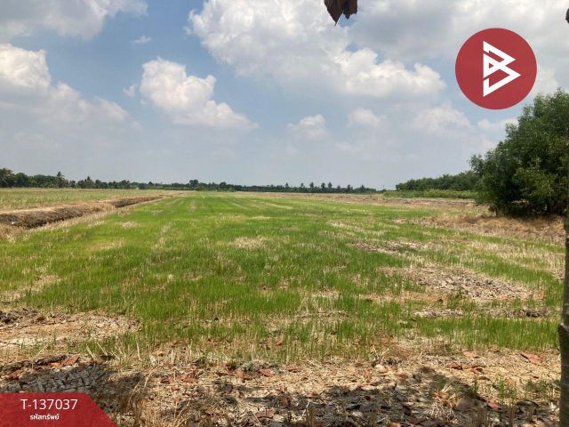 ขายที่ดิน เนื้อที่ 1 ไร่ ลาดหลุมแก้ว ปทุมธานี