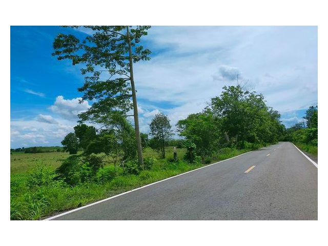 ขายที่ดินปราจีนบุรี ราคาพิเศษ 27,700,000 บาท เนื้อที่ 109-1-55 ไร่ ต.หนองกี่ อ.กบินทร์บุรี จ.ปราจีนบุรี แยกจากถนนสายกบิน