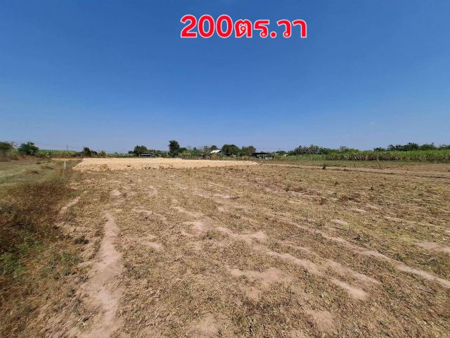 ที่ดิน 234 ตร.วา สำหรับปลูกบ้านอยู่อาศัย อยู่ในเขตเทศบาลตำบลหินกอง หมู่ 9
