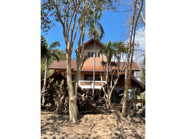 ขายบ้านสวนพร้อมที่ดิน 16 ไร่ ต.บ้านพระ อ.เมืองปราจีนบุรี จ.ปราจีนบุรี