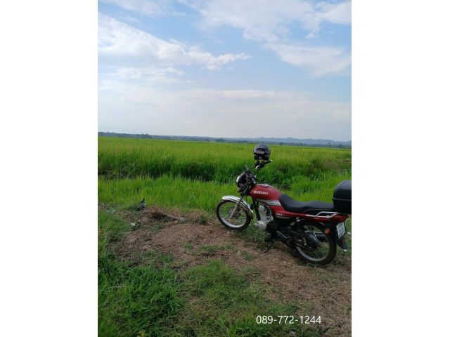 ที่นา ต.สักหลง