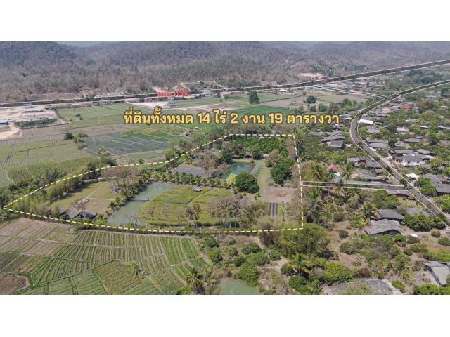 ขายที่ดินเชียงดาวพร้อมกิจการ ที่ดินตั้งอยู่ท่ามกลางหุบเขามีน้ำล้อมรอบติดลำธาร ไร่ละ 1.6 ล้าน ใกล้แหล่งท่องเที่ยว