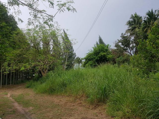 L087 ขายที่ดิน 7 ไร่ บ้านบึง ชลบุรี