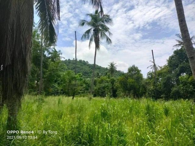 L093 ขายที่ดินวิวภูเขา 5 ไร่ เมืองชลบุรี