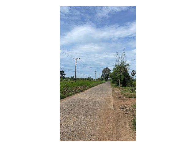 ขายที่ดิน 45 ไร่ ต.บ้านกล้วย อ.ชนแดน จ.เพชรบูรณ์