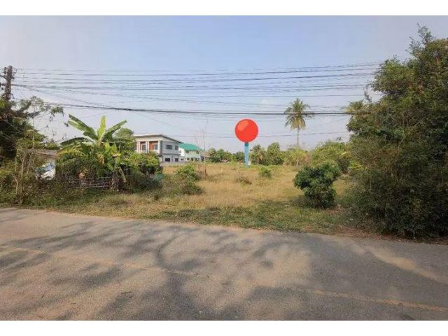 ขายที่ดินแถวสารภีห่างถนนซุปเปอร์เพียง 900เมตร