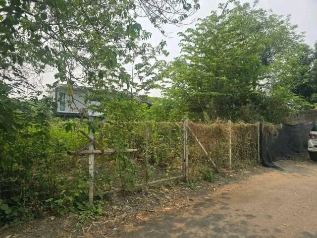 ขายที่ดินบ้านเบ้อสันผักหวานหางดงห่างถนนหลักเพียง 200เมตร
