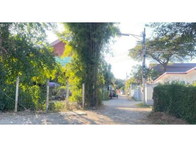 ขายที่ดินตำบลหนองหอยใกล้เมืองโฉนดพร้อมโอน