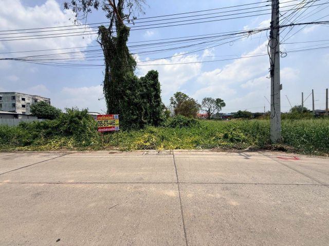 ขายที่ดินใกล้รถไฟฟ้า 309 ตรว ติดถนนสาธารณะ ซ.พิเศษ 5 ต.คูคต อ.ลำลูกกา จ.ปทุมธานี