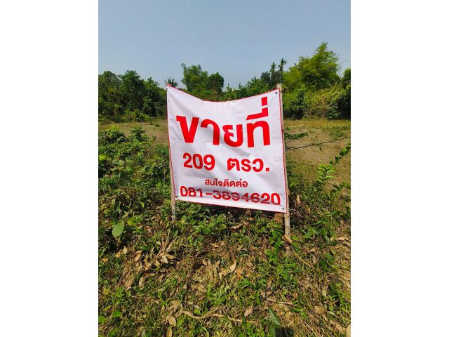 ขายที่ดิน