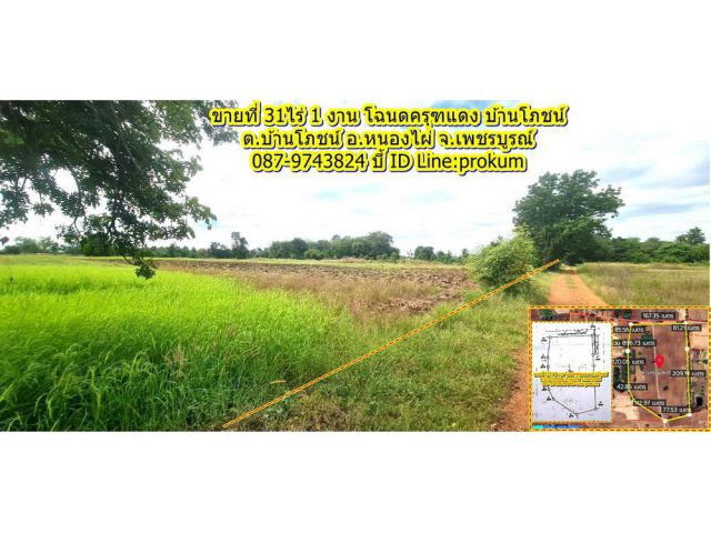 ขายที่ 31 ไร่โฉนด