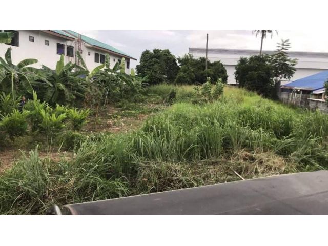 L122 ขายที่ดิน 230 ตรว ศรีราชา ชลบุรี
