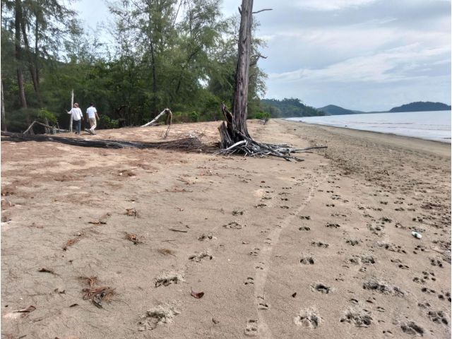 ขายที่ดินติดทะเลหาดสุขสำราญราคาถูกๆๆ