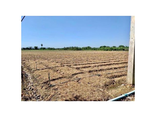 ที่ดินผืนใหญ่ทำเลดี10ไร่ โฉนดครุฑแดงพร้อมโอน ใกล้เทศบาลวังศาลา ท่าม่วง เข้าออกได้หลายทาง ติดถนนสาธารณะ ใกล้ทางด่วนM81 วิวสวย บรรยากาศดี