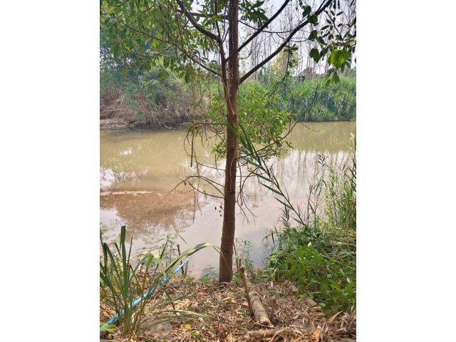 ขายที่ดินหน้าติดถนนหลังแม่น้ำขานสันป่าตองพร้อมโอน