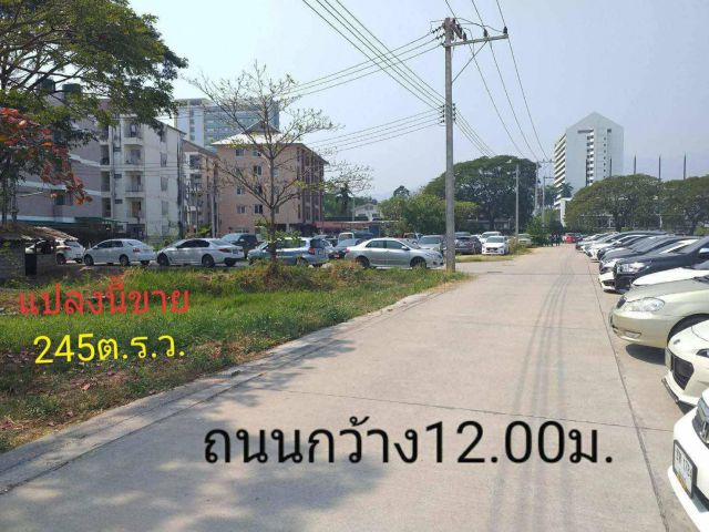 #*ขายที่ดินกลางเมืองเชียงใหม่245ตารางวา.ติดถนน2ด้าน(ผังเมืองสีแดง พ.5)อยู่ต.ช้างเผือกข้าง ม.ราชภัฏเชียงใหม่