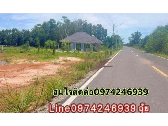 ขายที่ดิน79ตรวราคา189,000บาทติดถนนลาดยางบ้านทุ่งแฝก ต กบินทร์ อ กบินทร์บุรี จ ปราจีนบุรี