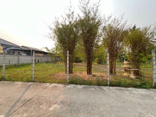 ขายที่ดินบ้านดอนไฟสันผักหวานหางดงพร้อมโอน