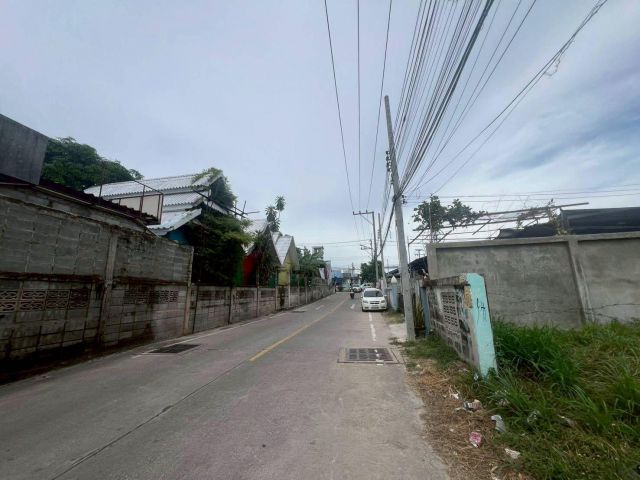 ขายด่วนที่ดินพัทยา บางละมุง ชลบุรี