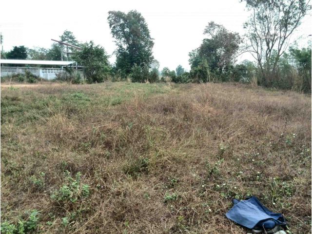 ขายที่ดินถมแล้ว 203 ตร.ว.