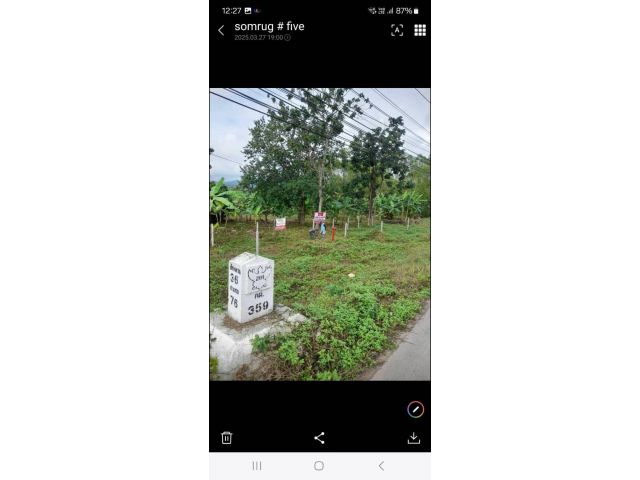 ขายที่ดิน จ.เลย 8-2-29 ไร่ ติดถนนหลัก เส้น 201 เลย-เชียงคาน ต.ศรีสองรักษ์ อ.เมือง จ.เลย