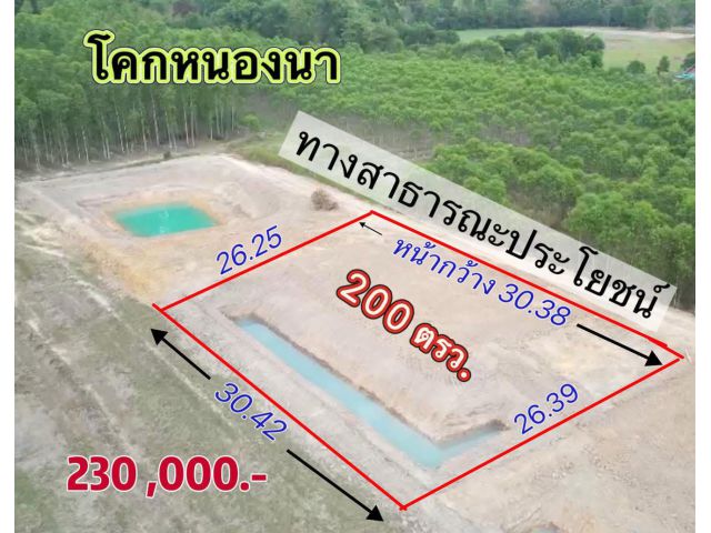 ขายที่ดินมีโคกหนองนาพร้อม และบ่อน้ำธรรมชาติไว้ใช้ประโยชน์