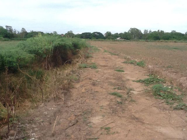ขายที่ดิน 12 ไร่ครึ่ง ติดปทุมธานี-บางปะหัน ( ทล.347 )