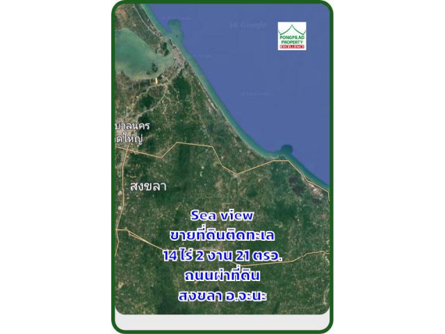 Sea view ขายที่ดินติดทะเล สงขลา 14 ไร่ 2 งาน 21 ตรว.ถนนผ่าที่ดิน
