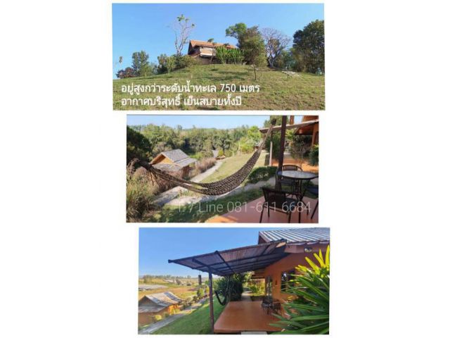 ถูกกว่าราคาตลาด 60%  ที่ดินเขาค้อ 27 ไร่  มีใบอนุญาตโรงแรม Land for sale Khao Kho