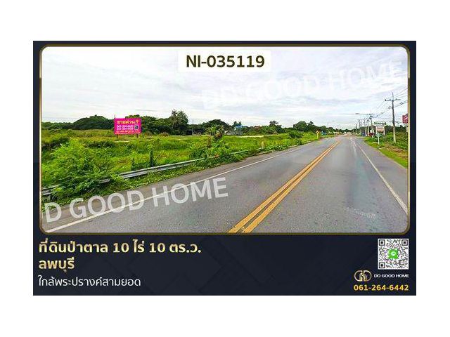 ที่ดินป่าตาล 10 ไร่ 10 ตร.ว. ลพบุรี ใกล้พระปรางค์สามยอด NI-035119