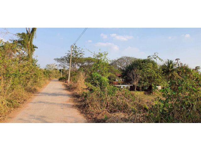 ขายด่วน!!ที่6ไร่ โซนบ้านสวนโคกหนองนา อ.บ้านฝางขอนแก่น