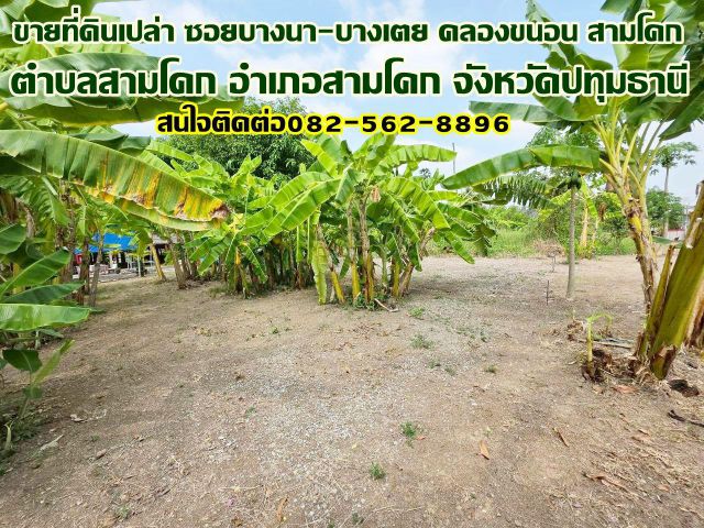 ขายที่ดินเปล่า ซอยบางนา-บางเตย คลองขนอน สามโคก