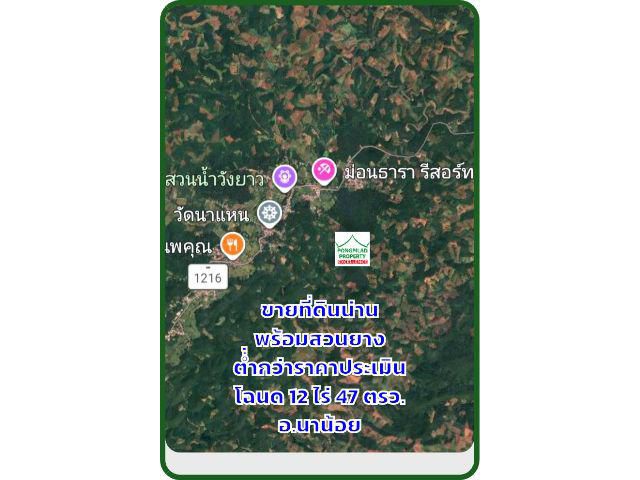 ต่ำกว่าราคาประเมิน ขายที่ดินน่านพร้อมสวนยาง 12 ไร่ 47 ตรว.อ.นาน้อย