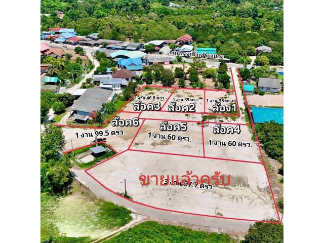 ขายถูกมาก!! ที่ดินแบ่งแปลง 135 - 199.5 ตร.ว. ทำเลทอง อ.เมือง จ.ระยอง ใกล้ถนนสุขุมวิท  หาดแม่รำพึง ห้างฯ