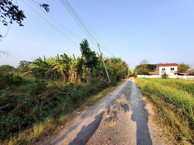 ขายด่วนที่ดิน 99 ตรว ติดถนนสาธารณะ ซอย คลองหก ตต.13 ต.คลองหก ปทุมธานี