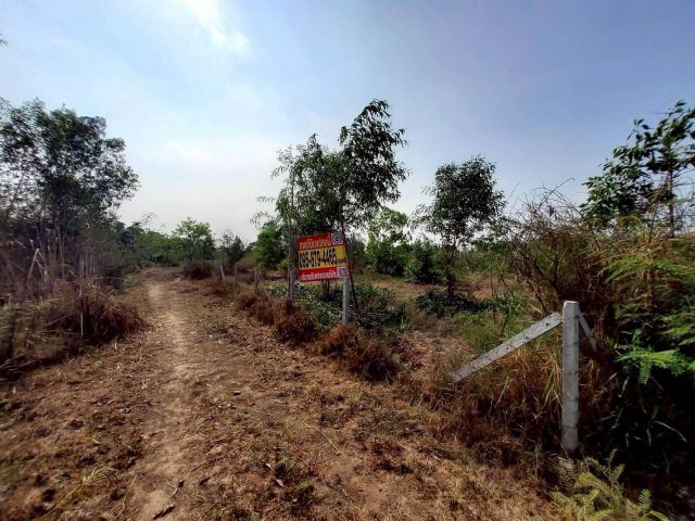 ขายถูกที่ดิน 400 ตรว ติดถนนสาธารณะ ใกล้ซอยอยู่รวยแลนด์ หนองสามวัง หนองเสือ