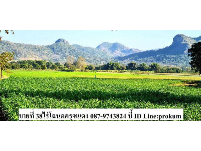 ขายที่นาติดคลองน้ำ ต.ชอนไพร