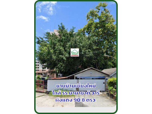 ผังแดง ขายบ้านเชียงใหม่ ใกล้ รร.นานาชาติ วารี ใกล้ บ้านพักข้าราชการ 90.8 ตรว..