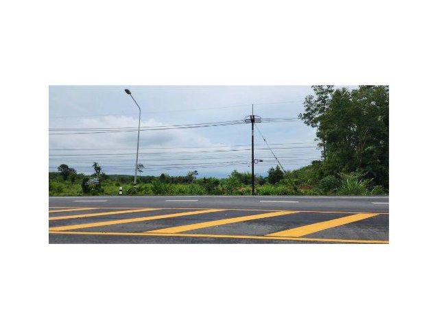 ขายที่ดิน 31 ไร่ ติดถนน 3157 ต.ช้างทูน อ.บ่อไร่ จ.ตราด