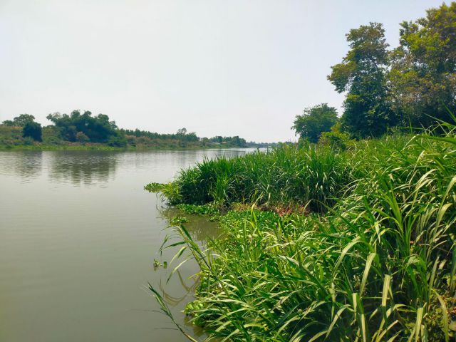 ขายที่ดินติดแม่น้ำท่าจีน500-ไร่ไร่ละ1.7ล้านอ.บางเลน จ.นครปฐม.เหมาะทำบ้านจัดสรรริมน้ำ/ตลาดน้ำ/โรงงาน.ใก้ลตลาดบางหลวง