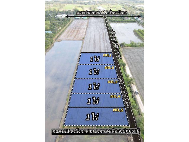 ขายที่ดินบึงกาสาม 1 ไร่ คลอง11 ที่ดินเหมาะทำบ้านสวนเกษตร อ.หนองเสือ จ.ปทุมธานี
