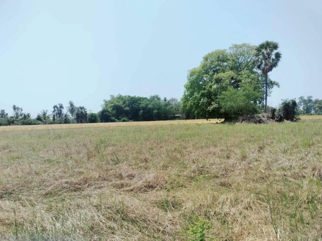 ขายถูกที่ดิน 400 ตรว เหมาะสร้างบ้านสวน ต.คลองควาย อ.สามโคก จ.ปทุมธานี