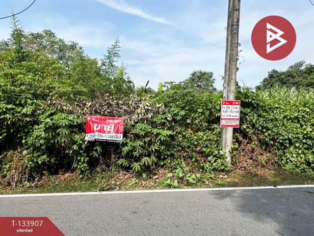 ขายที่ดินหลังตลาดนินจาอมตะชลบุรี เนื้อที่ 2 งาน 70 ตร.วา หนองไม้แดง